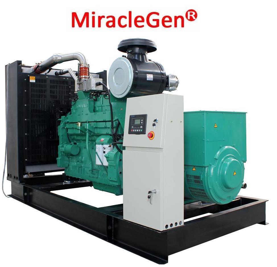 Natural Gas Generator 300kw
