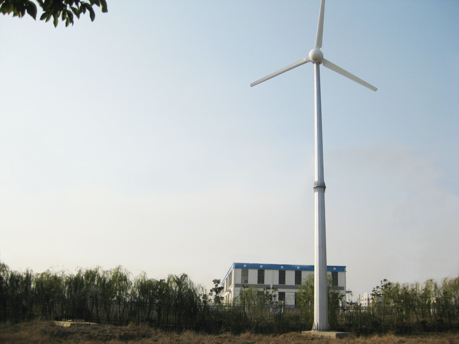 Small Wind Turbine Generator 30kw for Sale