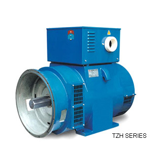 Three-Phase Compound Excitation AC Synchronous Generator (TZH series)