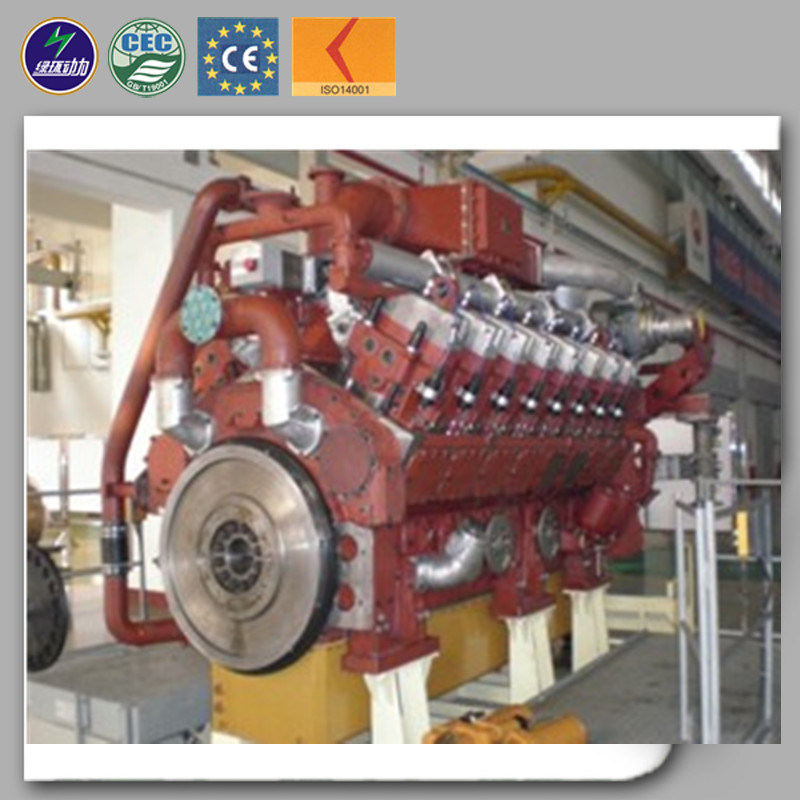 Natural Gas Powered Generator Set Backup Power with Water Cooled Engine 1000kw to Russia