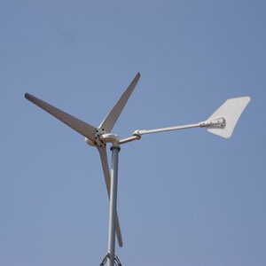 Silent Small Wind Generator for Home 500W Small Wind Generator
