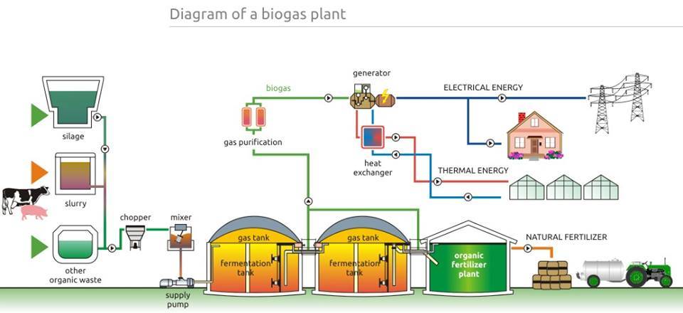 CE ISO Approved Biogas/Syngas/Biomass Genset From China Manufacturer