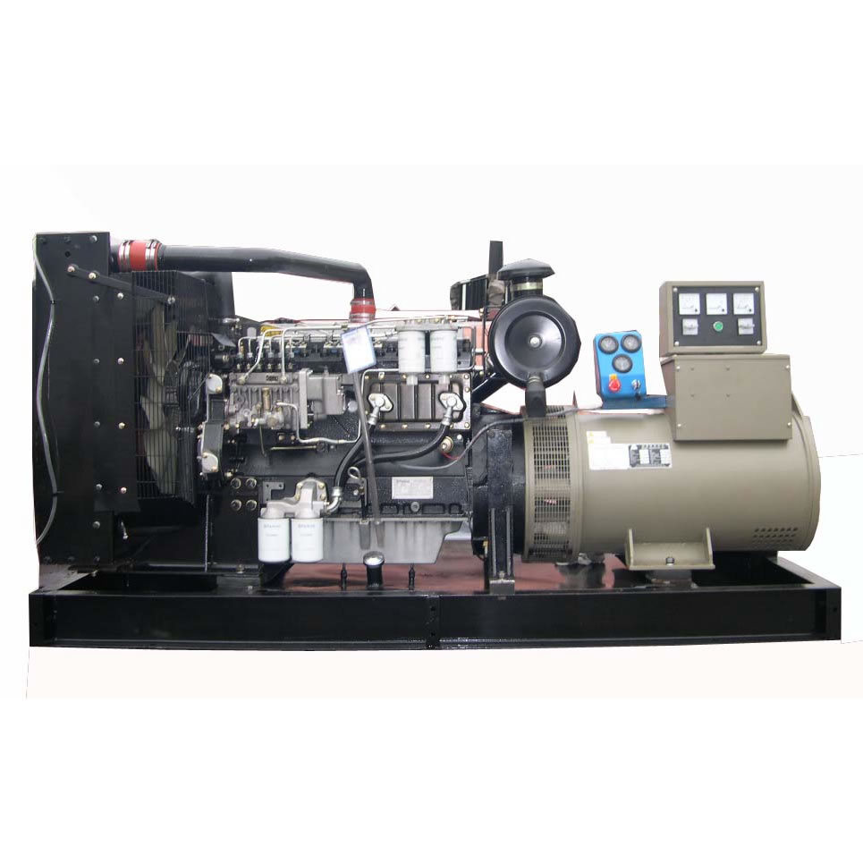 Perkins Series Diesel Generator Set (NPP900)