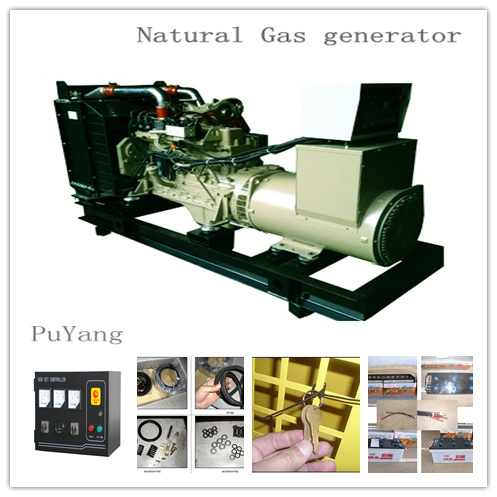 Natural Gas Generator Omnitek 180kw 225kVA