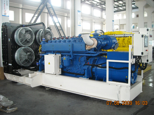 Natural Gas Generator with  800kw / 1000KVA (RCT-800GF)