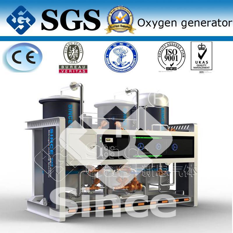 Professional Manufacture of Psa Oxygen Generator (PO)