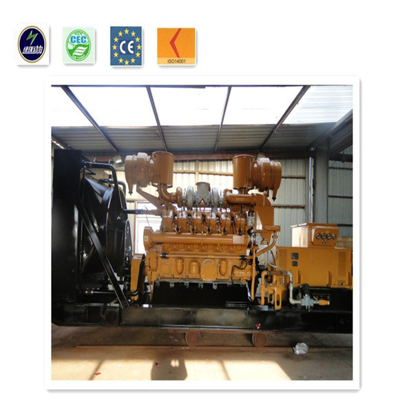 2016 Full Automatic Top Quality Biomass Generator Set with Top Technology