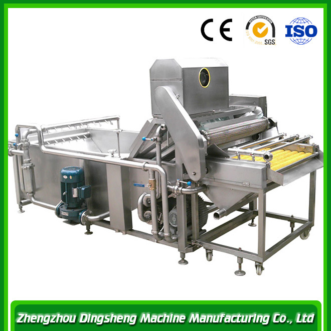 Hot Sale High Quality Fruit and Vegetable Cleaner Machine