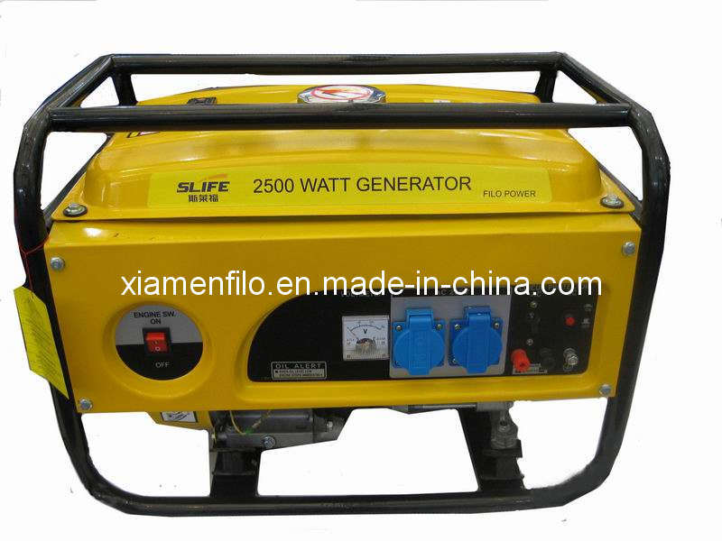 Gasoline Generator, Gasoline Generator Set (FLG)