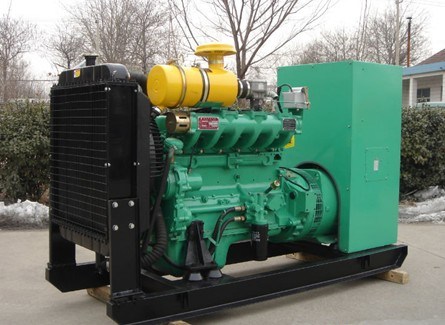 250kw Natural Gas Generator Set (WTQ250GF)