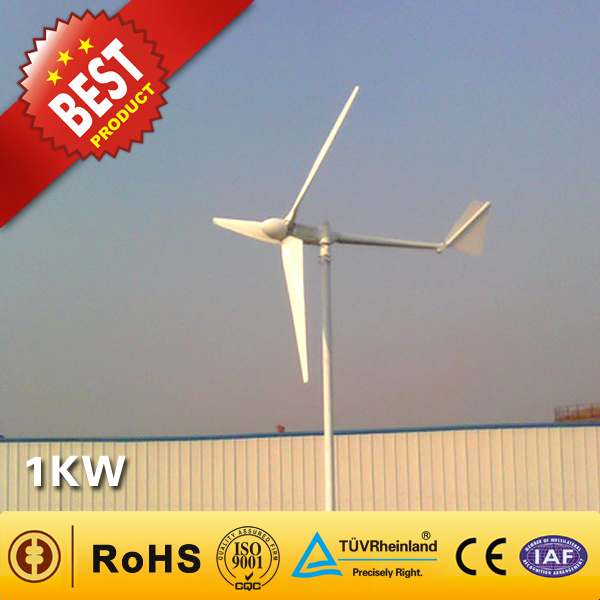 Wind Power Generator/Wind Turbine (1kw)