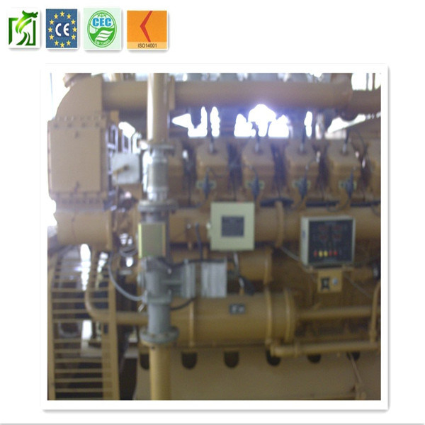 2015 Hot Sell Thailand Methane Natural Gas Generator Set 300kw with CHP