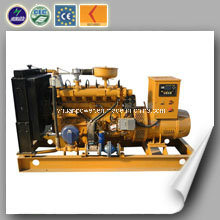 Most Popular New Energy in Italy Biomass Genset (20KW)