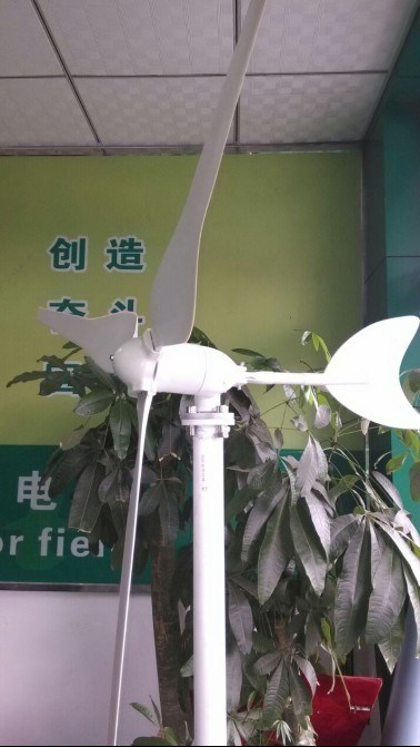 50W Mini Wind Generator 50W Wind Turbine with Competitor Price