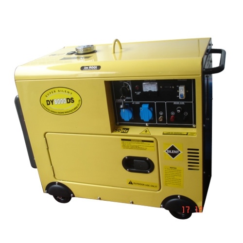 Diesel Generator (DY6000DS)