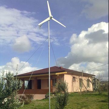 Home Wind Turbine 500W 24V Wind Power Generator