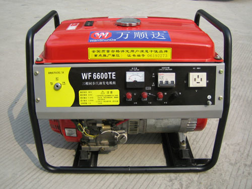 Small Power Standby Gasoline Generator (WF6600TE)
