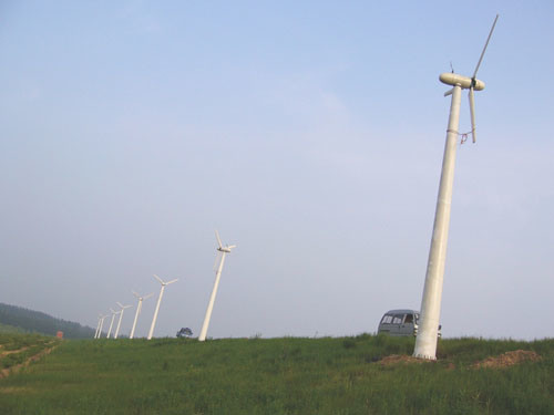 Wind Energy Generator (3000W)