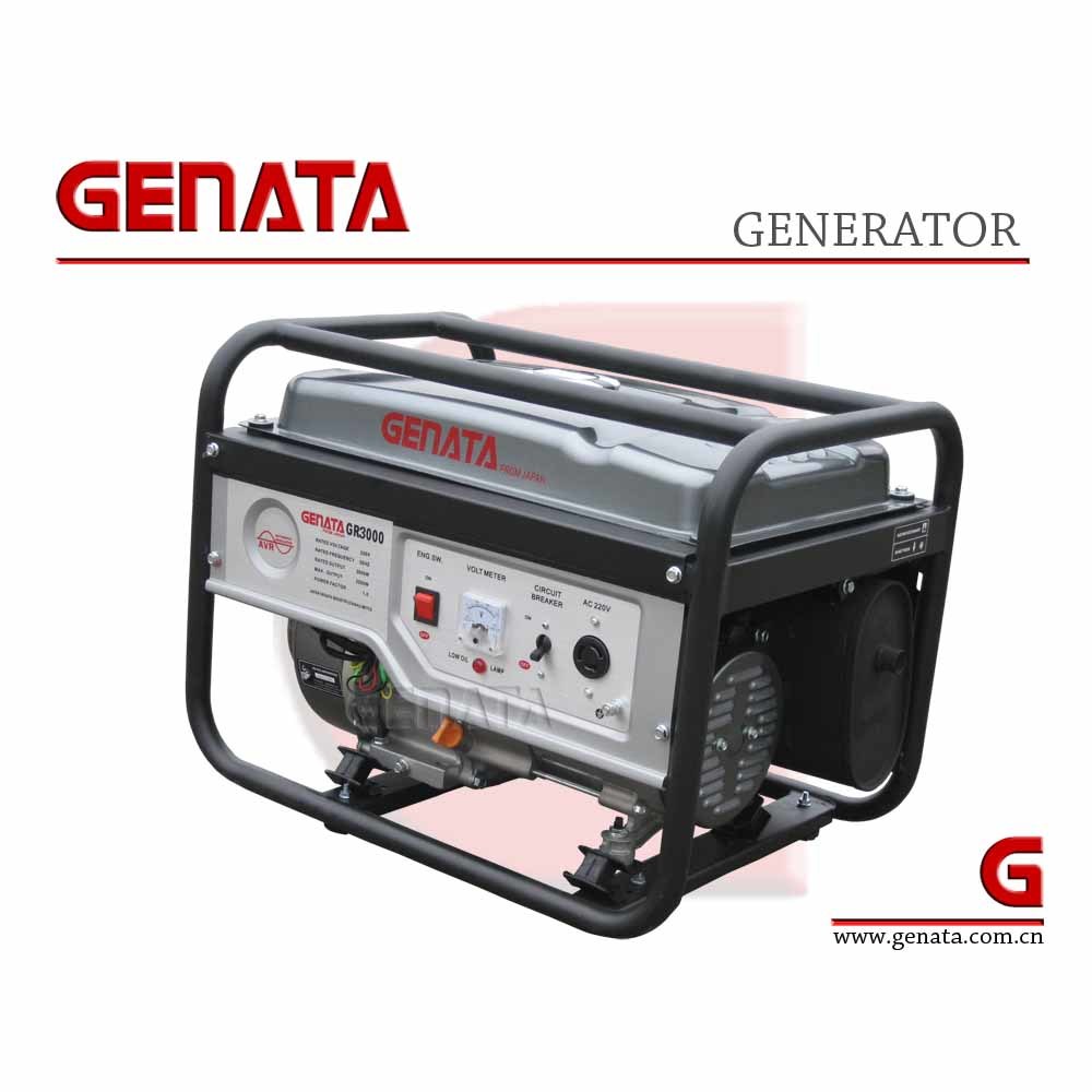 Portable Mini Ohv Gasoline Generator (GR3000)