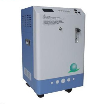 Water Treatment Ozone Generator for Fishpond