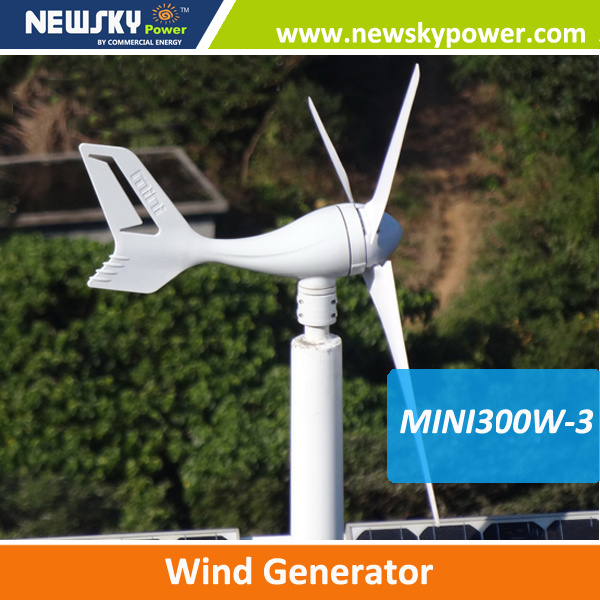 China Newsky Power Mini300W Small Wind Power Turbine