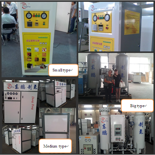Dongpeng Brand Good Quality Low Price Nitrogen Generator for Food Packing