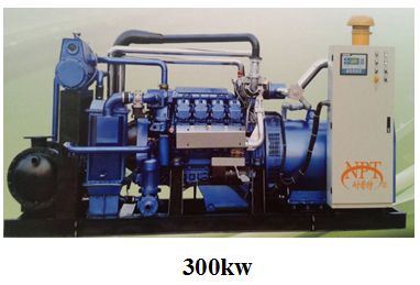 300kw Gas Generator Set (10-500kw)