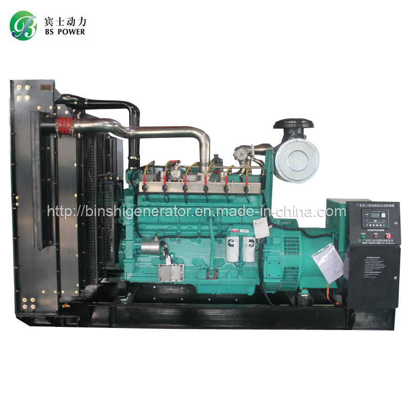 80kw CNG Power Generator Set (Compressed Natural Gas)