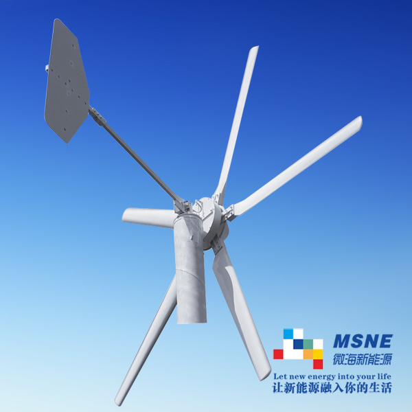 Wind Driven Generator with High Performance Blades 3000W