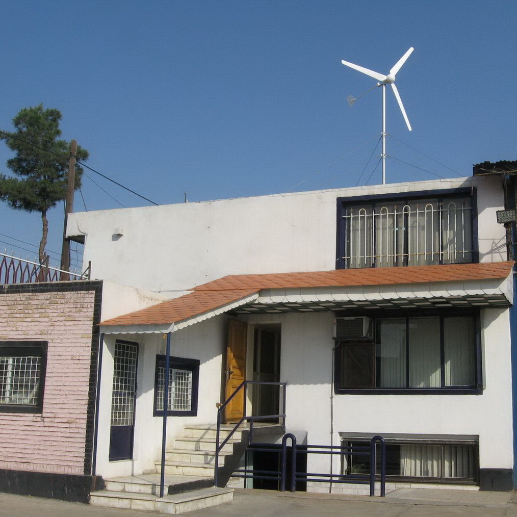 Small Wind Turbine Generator 2000W for Residential