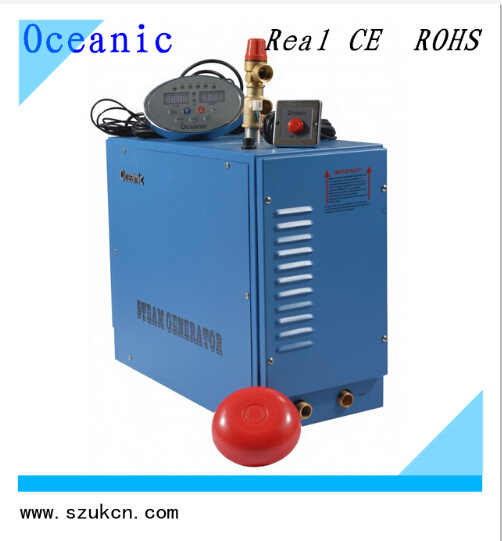12kw Commercial Electric Steam Generator