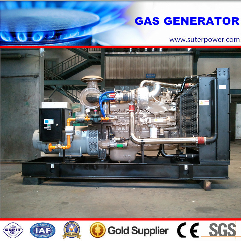 250kVA/200kw Electric Power Natural Gas Generator with ATS