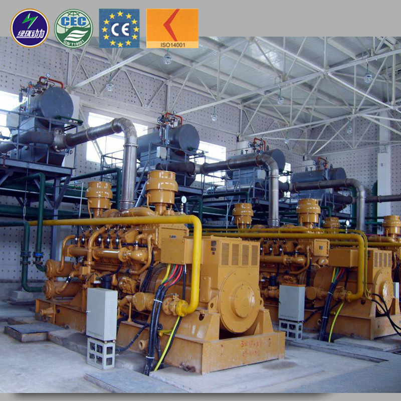Coal Power Plant Applied China Coal Gas Generator