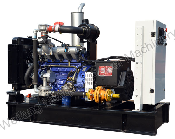 Natural Gas Generator with Stable Quality (10kw- 500kw) Price