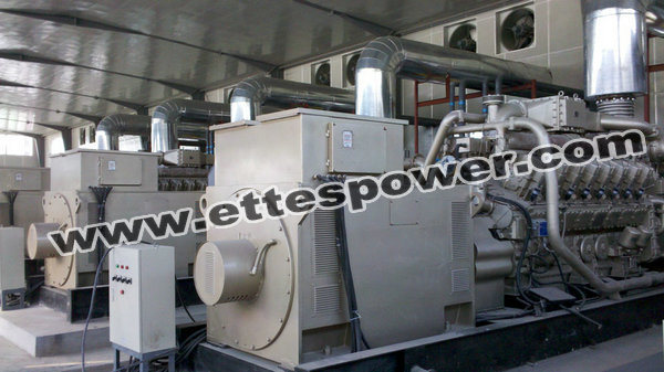 300kw/375kVA Biogas Generator