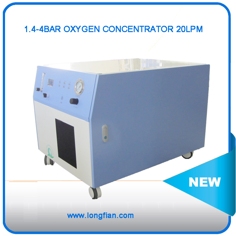 China Industrial Oxygen Generator Factory /Glass Blowing Oxygen Concentrator10lpm 15lpm 20lpm
