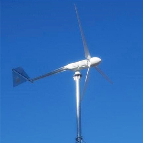 Wind King Wind Generator Turbine of High Quality 2000W 3000W