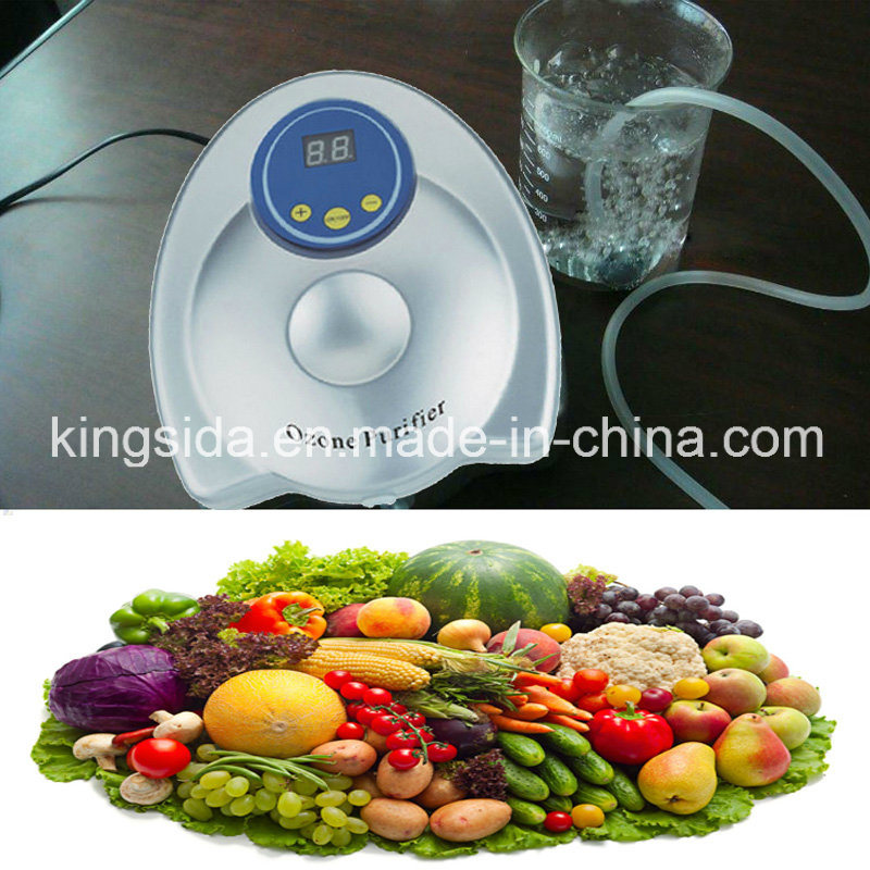 Hot Selling Ozone Generator for Fruit and Vegetable