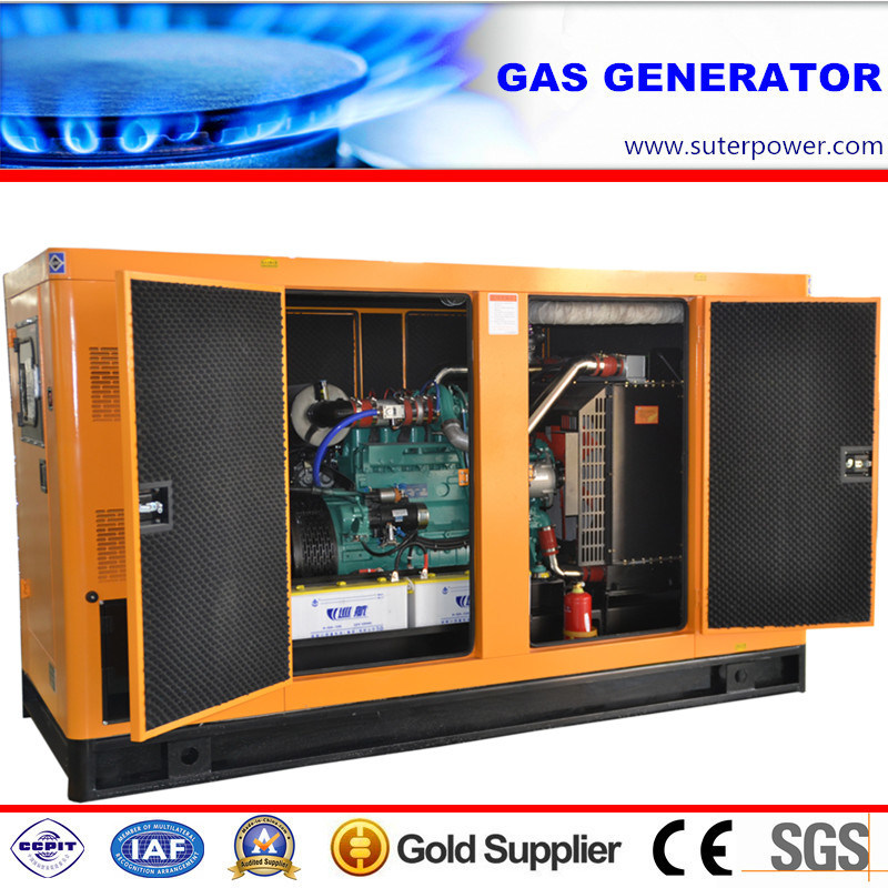 163kVA/130kw Silent Natural Gas Generator with Soundproof Container
