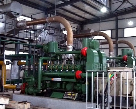 Hot Selling Coal Gas Power Generating Plant with CHP