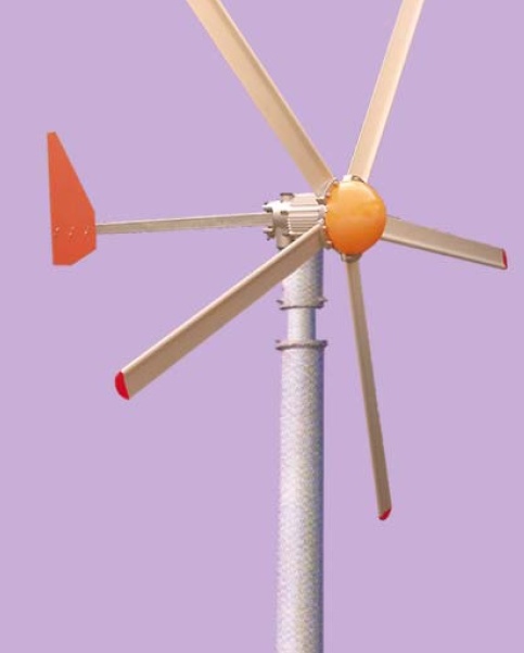 500W Wind Generator (WFD500W)