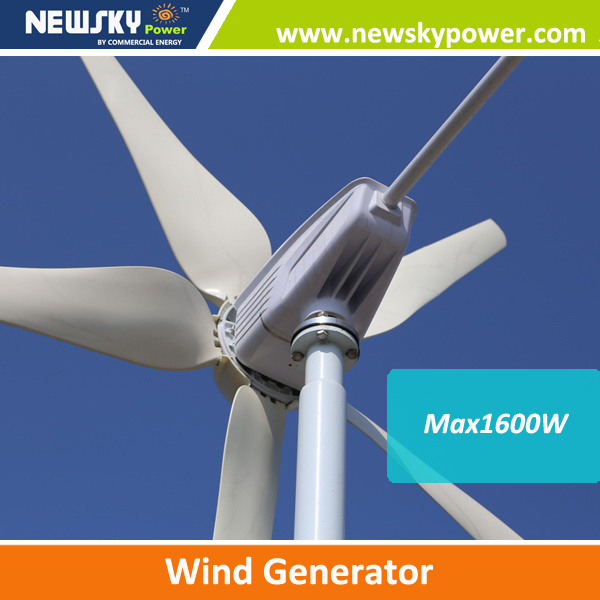 Max400W600W800W1000W1200W Small Wind Generator for Home