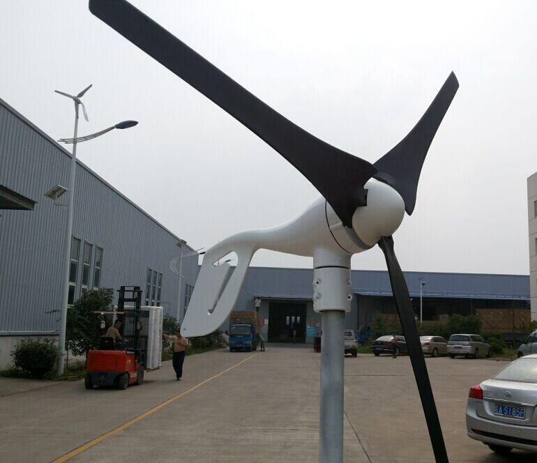 600W Horizontal Wind Turbine Generator Suitable for Low Wind Area