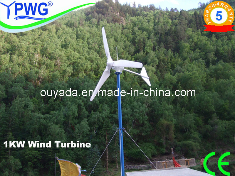1kw Pitched Controlled China High Efficiency Wind Turbine