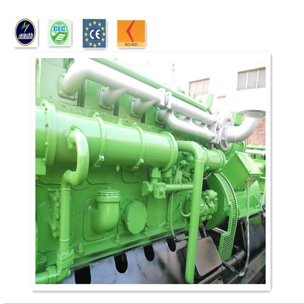 100-600kVA Biogas/Natural Gas Power Generator Set