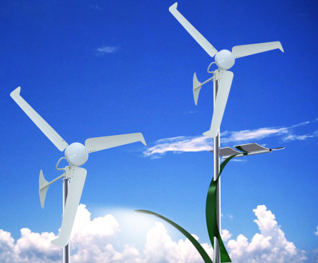 Wind Power Generator for Farm Use (MS-WT-400)