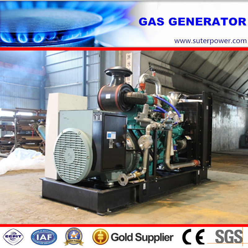 200kVA/160kw Water Cooled LPG/Natural Gas Generator with CE Approved