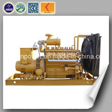 CE & ISO Standard Top Quality 300 Kw Natural Gas Generator Set