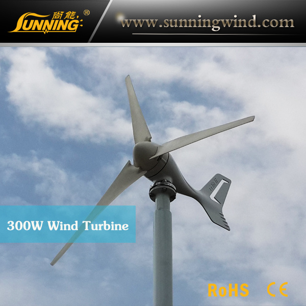Low Price Permanent Magnet Wind Turbine for Boat