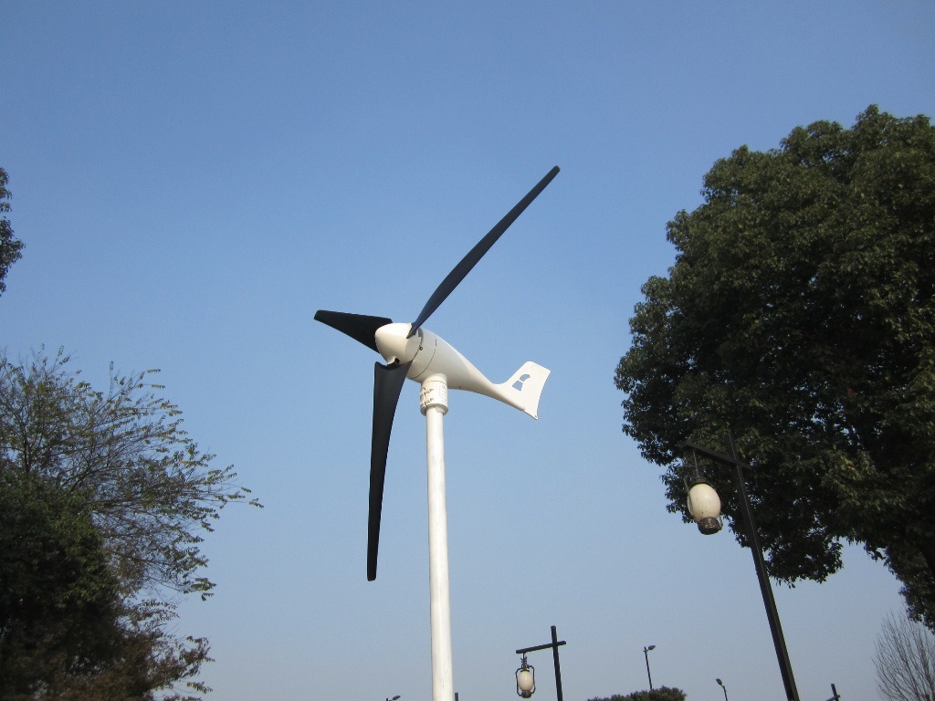 Small Wind Turbine Generator with High Quality